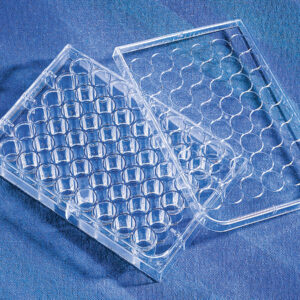 3338 - Corning® CellBIND® 48-well Multiple Well Plates, Flat Bottom, Clear, with Lid, Sterile