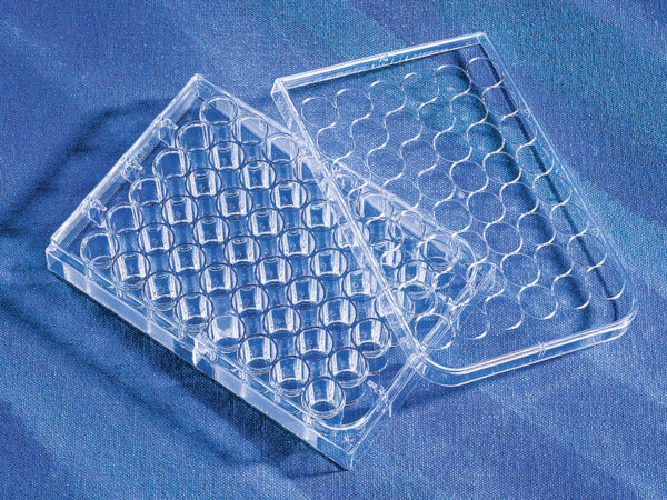 3338 - Corning® CellBIND® 48-well Multiple Well Plates, Flat Bottom, Clear, with Lid, Sterile