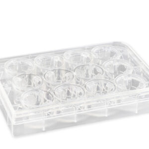 3402 - 12 mm Transwell® with 3.0 µm Pore Polycarbonate Membrane Insert, Sterile