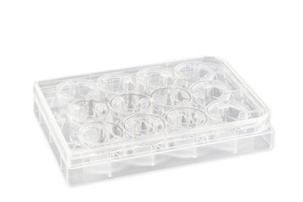 3402 - 12 mm Transwell® with 3.0 µm Pore Polycarbonate Membrane Insert, Sterile