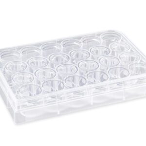 3421 - 6.5 mm Transwell® with 5.0 µm Pore Polycarbonate Membrane Insert, Sterile