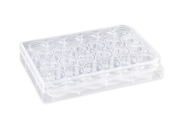 3421 - 6.5 mm Transwell® with 5.0 µm Pore Polycarbonate Membrane Insert, Sterile