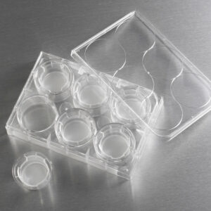 3452 - 24 mm Transwell® with 3 µm Pore Polyester Membrane Insert, Sterile