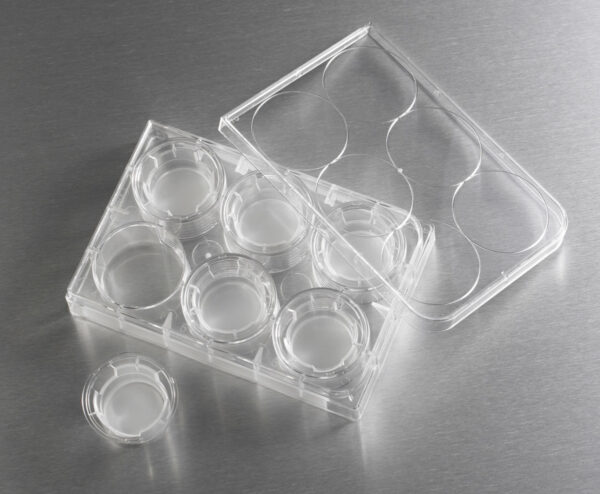 3452 - 24 mm Transwell® with 3 µm Pore Polyester Membrane Insert, Sterile