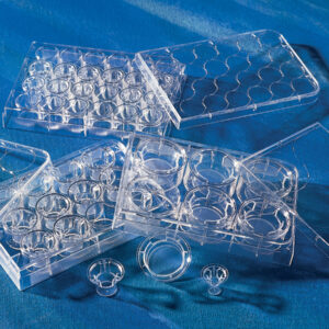 3470 - 6.5 mm Transwell® with 0.4 µm Pore Polyester Membrane Insert, Sterile