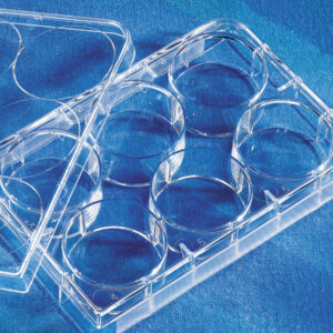 3506 - Costar® 6-well Clear TC-treated Multiple Well Plates, Bulk Packed, Sterile