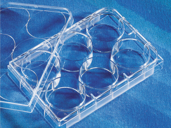 3506 - Costar® 6-well Clear TC-treated Multiple Well Plates, Bulk Packed, Sterile