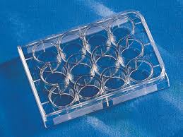 3513 - Costar® 12-well Clear TC-treated Multiple Well Plates, Individually Wrapped, Sterile
