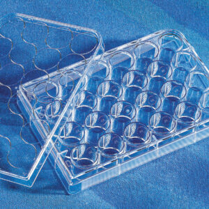 3527 - Costar® 24-well Clear TC-treated Multiple Well Plates, Bulk Pack, Sterile