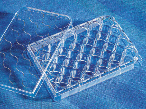 3527 - Costar® 24-well Clear TC-treated Multiple Well Plates, Bulk Pack, Sterile