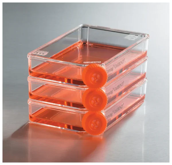 Corning™ 3816 - Corning™ Low Profile Cell Culture Flask