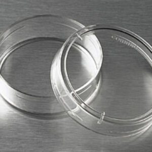 430165 - Corning® 35 mm TC-treated Culture Dish
