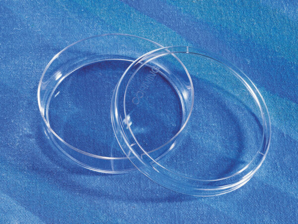 430167 - Corning® 100 mm TC-treated Culture Dish
