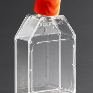 430168 - Corning® 25cm² Rectangular Canted Neck Cell Culture Flask with Plug Seal Cap