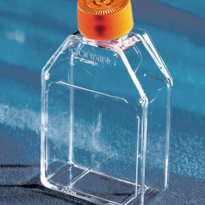 430639 - Corning® 25cm² Rectangular Canted Neck Cell Culture Flask with Vent Cap