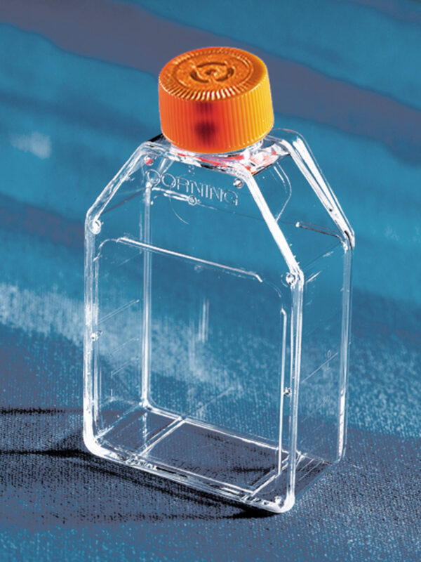 430639 - Corning® 25cm² Rectangular Canted Neck Cell Culture Flask with Vent Cap