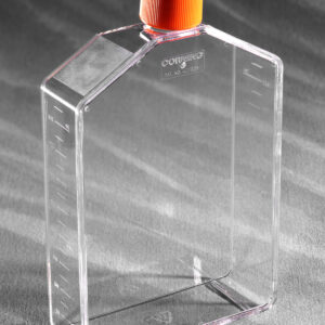 431082 - Corning® 225 cm² Angled Neck Cell Culture Flask with Vent Cap