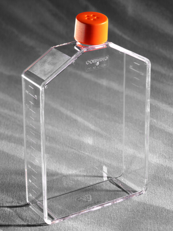 431082 - Corning® 225 cm² Angled Neck Cell Culture Flask with Vent Cap