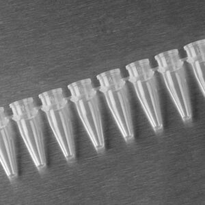 Axygen® 0.2 mL Polypropylene PCR Tube Strips, 8 Tubes/Strip, Clear, Nonsterile