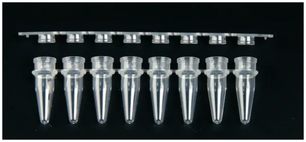 Axygen® 0.2 mL Polypropylene PCR Tube Strips and Flat Cap Strips, 8 Tubes/Strip, 8 Flat Caps/Strip, Clear, Nonsterile