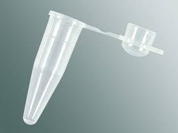 Axygen® 0.2 mL Thin Wall PCR Tubes with Domed Cap, Clear, Nonsterile