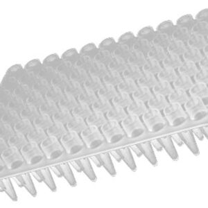 Axygen® 96-well Polypropylene PCR Microplate, No Skirt, Clear, Nonsterile