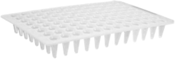Axygen® 96-well Polypropylene Flat Top PCR Microplate, Low Profile, No Skirt, White, Nonsterile - Image 3