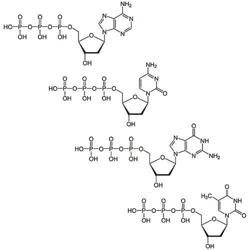 786-459 Deoxynucleotide Mix [25mM], 10ml 250µmole